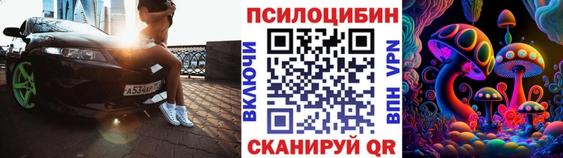 как найти закладки  Чернушка  Псилоцибиновые грибы Cubensis 